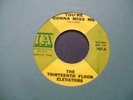 The Thirteenth Floor Elevators 1967 USA 45 HEAR IT 