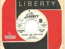 PLAIDS Hungry For Your Love RARE DOO WOP PROMO   HEAR