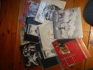 The Skids 9 x 7