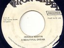 HORACE MARTIN -A BEAUTIFUL DREAM -REGGAE 45 -IRON LABEL