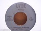 T.S.U. Toronadoes-