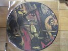 SLAYER - Reign in blood-  PICTURE LP