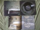 Copeland Beneath Medicine Tree Vinyl /200 Green/Gray lp
