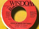 UPRIGHT FOUNDATION- WOLF IN SHEEP CLOTHING- WISDOM- NM