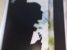 Paul Weller: Wild Wood (LP, Vinyl) + Ltd Poster Mint
