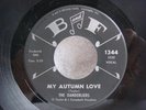 THE DANDERLIERS -MY AUTUMN LOVE- B AND F 1955 VG++