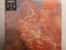 Morbid Angel 
