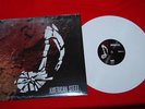 AMERICAN STEEL Destroy Future Colored LP lawrence arms