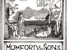 MUMFORD & SONS - LOVE YOUR GROUND 10