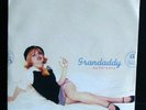 GRANDADDY/VERBENA Devil In the Woods 7