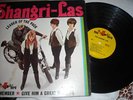 Shangri-Las orig Leader of the pack