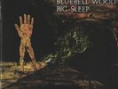BLUEBELL WOOD BIG SLEEP *RARE* VINTAGE 1971 LP  VG+