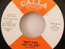 JEAN WELLS WHAT HAVE I GOT TO LOSE MODERN SOUL US 7