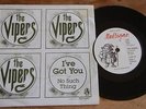 the VIPERS No Such Thing 1978 Irish punk-pop 7