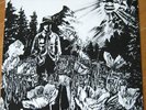 DINOSAUR JR - DINOSAUR 1st LP 1985 us Homestead