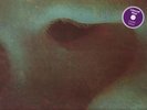 33 T  PINK FLOYD   MEDDLE    DISQUE ROUGE