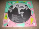 THE BEATLES-Silver Beatles VINYL LP PICTURE DISC