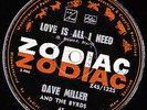 LOVE IS ALL I NEED DAVE MILLER/ BYRDS NZ 66 FUZZ GARAGE