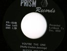 Buddy Holly - Radio Station Kill Jingles/You`re The One