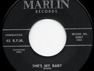 Rare Steve Alaimo 45 RPM (Miami Rockabilly) Hear it