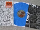 Paramore Riot LP blue vinyl record fall out boy nfg afi