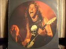 Metallica - Live - Picture Vinyl