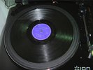 The Demens - TAKE ME AS I AM
