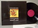 rare LONER FOLK UK Colin Wilkie - lost diamond RARITY