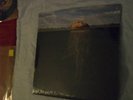 MARS VOLTA-