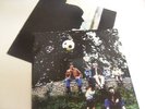 PAUL WELLER WILD WOOD ALBUM WITH INNER