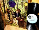 CLEAN 1968  LITTLE BOY BLUES   WOODLAND OF BLUES PSYCH