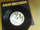 Sex Pistols God Save the Queen A&M repro Black Vinyl