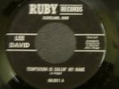 Lee David - Temptation Is Calling My Name