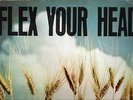 VV.AA -FLEX  YOUR HEAD-  LP USA 1982