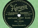 Herwin 92404 SON HOUSE Shetland Pony Blues