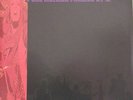 ACID MOTHERS TEMPLE Early Recordings 95-97 2 LP