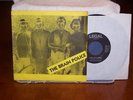 The Brain Police-Rare Michigan KBD Punk-Picture Sleeve
