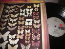 MAYFLY,BRILLIANT DUTCH PSYCH FOLK ROCK ORIG,POKORA BOOK