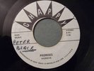 RARE/THE VICEROYS-PROMISES/I.ROY SOUND OF THE WISE  7