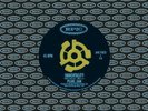 Pearl Jam Immortality record