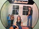 STATUS QUO On The Level PICTURE DISC LP VINYL PIC DISK