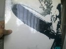 led zeppelin very rare turquoise 1st album
