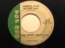 Rare 66 KY Garage TOP DOG 2313 45 Mersey Beats USA NRBQ