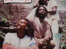 original THE VICEROYS Brethren And Sistren 1983 CSA lp