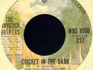 The Handcock Brothers - Cricket in The Dark - 45 RARE