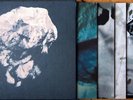 THE PIXIES Death to the Pixies NM 10