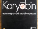 SPONTANEOUS MUSIC ENSEMBLE Karyobin Orig LP Island Pink