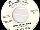 NE MOD GARAGE PSYCH - VELVET SEED Flim Flam Man -LISTEN