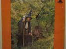 Gandalf The Grey Wizard Am I-Psych-Folk-Private-ORIG 72