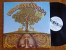 Under Milkwood 1969 US folk psych LP Pokora